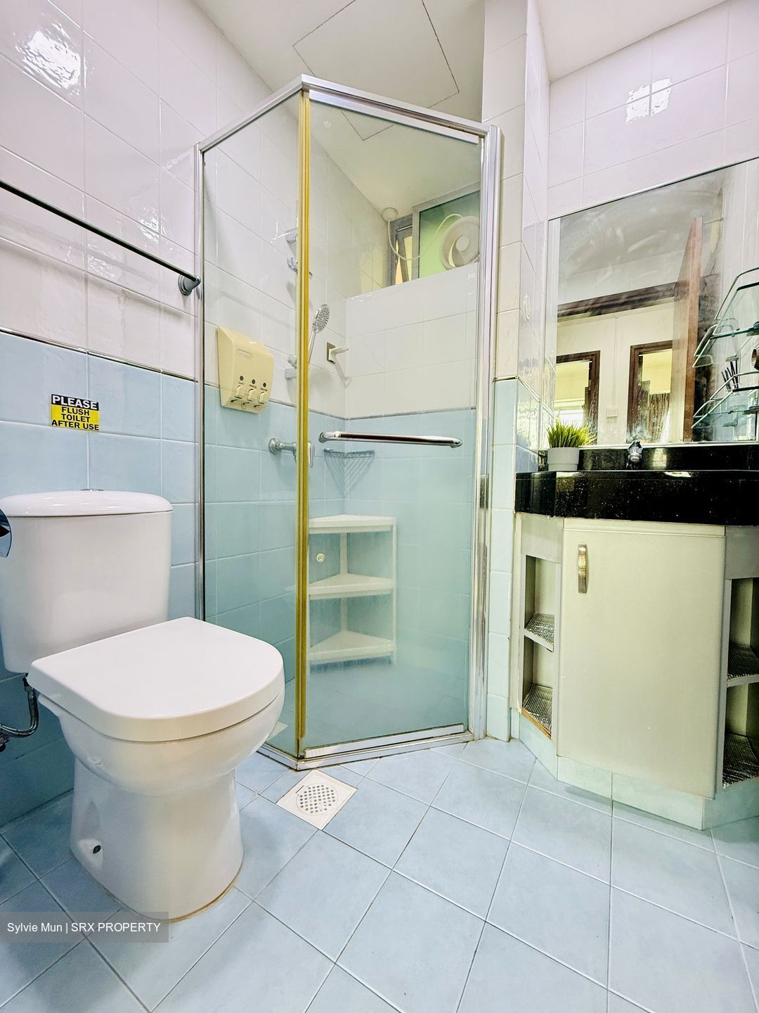 Bishan Loft (D20), Condominium #618053981